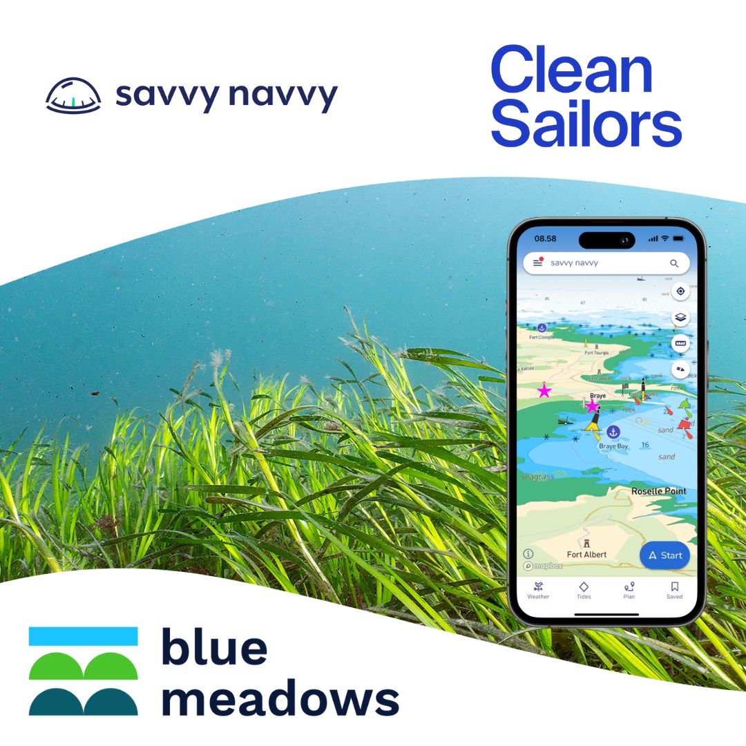 UK 'Blue Meadows' recognises Clean Sailors as Partner in seagrass conservation