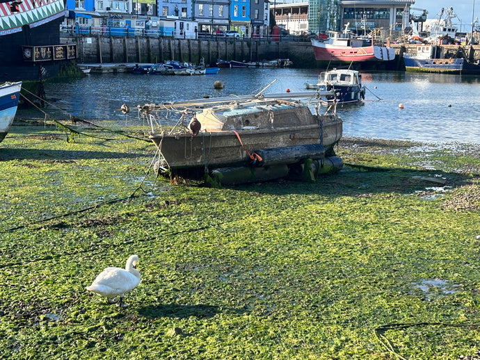 PODCAST: On Abandoned Boats and Fibreglass with Dr. Corina Ciocan